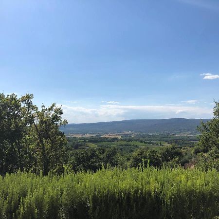 Gite Roussillon Dame Sirmonde Apartment ภายนอก รูปภาพ